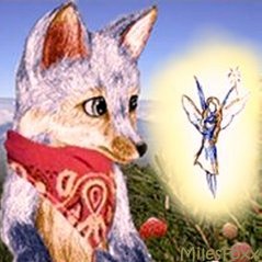 Thanks for your votes!